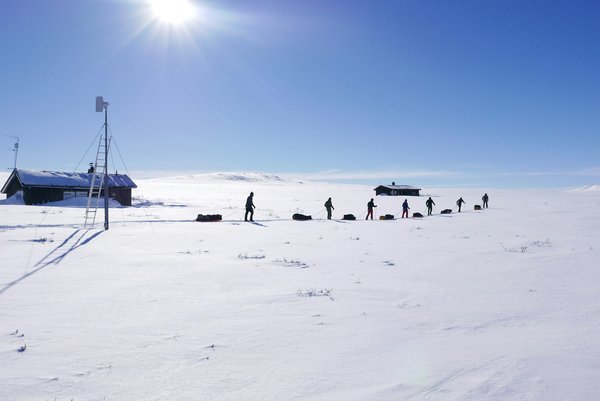 Où participer à une expédition de ski de fond en Norvège?